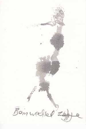 Standard Post with Image