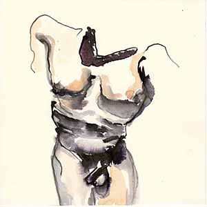 Standard Post with Image