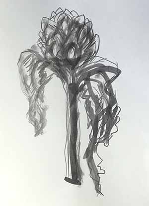 Tuschezeichnung auf Papier Artischocke 2