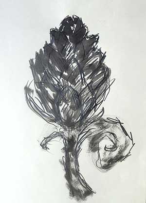 Tuschezeichnung auf Papier Artischocke 2