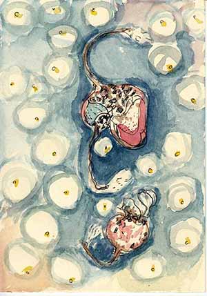 Zeichnung/Mischtechnikh auf Papier - Meeresfrüchte