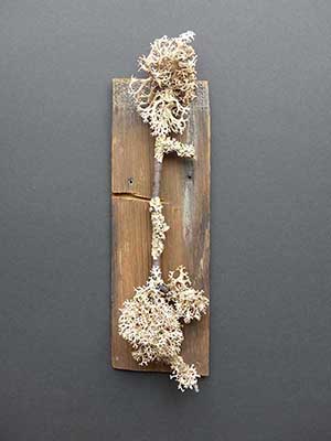 Nature work 2, Holz- und Flechte-objekt 