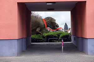  Photocollage - Gassi mit Dina 