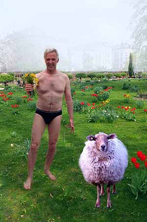  Photocollage - HappyBirthday 